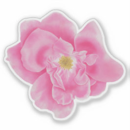 Waterverf Roze Rose Bloemen Botanische Sticker