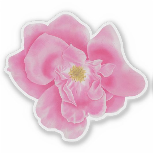 Waterverf Roze Rose Bloemen Botanische Sticker (Voorkant)