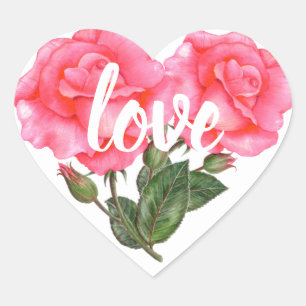 Waterverf Roze Rose Floral Illustration Love Hart Sticker