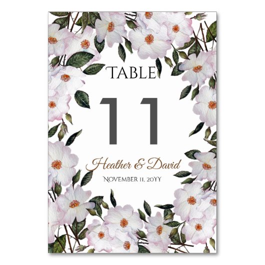 Waterverf Roze Rozen Ballerina Bloemstuk Kunst Bru Kaart (Achterkant)