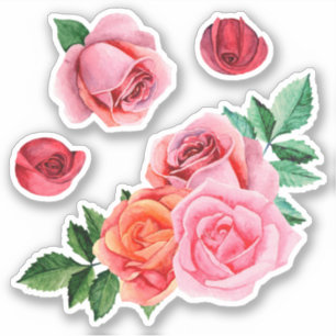 Waterverf roze rozen. Tuinbloemen. botanisch Sticker