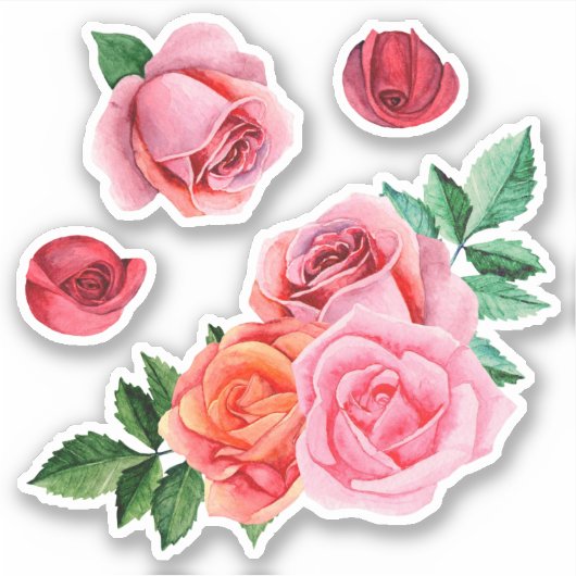 Waterverf roze rozen. Tuinbloemen. botanisch Sticker (Voorkant)