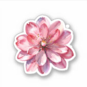 Waterverf Roze Sakura Kersenbloesem Sticker (Voorkant)