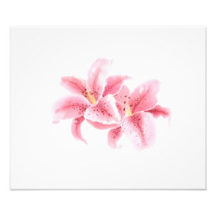 Waterverf Roze Stargazer Lilies Foto Afdruk