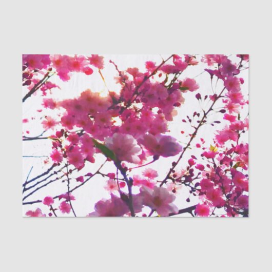 Waterverf roze veer floraal | Drijvende boom Tissuepapier (Voorkant)