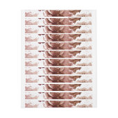 WATERVERF ROZEN 3 (Vel)