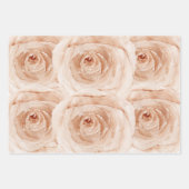 Waterverf rozen elegant floral  bruiloft inpakpapier vel (Voorkant)