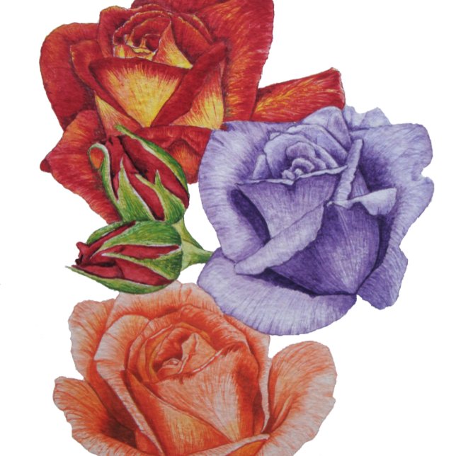 waterverf rozen en rozen buisjes florale kraantgor kussen (Creator heeft geüpload)