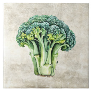 Waterverf Rustieke Broccoli Nep Textuur Tegeltje