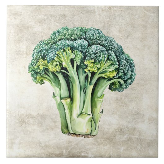 Waterverf Rustieke Broccoli Nep Textuur Tegeltje (Voorkant)