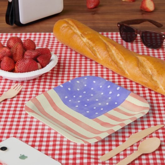 Waterverf Rustische Amerikaanse vlag Papieren Bordje (Picknick)