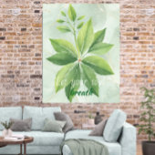 Waterverf salie groen laat botanisch Poster achter