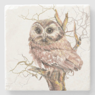 Waterverf Saw Whet Cute Little Owl Bird Natuur Stenen Onderzetter