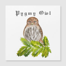 Waterverf Saw Whet Cute Little Owls