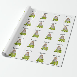 Waterverf Saw Whet Cute Little Owls Cadeaupapier