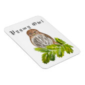 Waterverf Saw Whet Cute Little Owls Magneet (Rechterzijde)