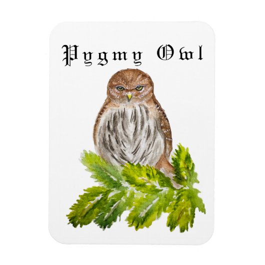 Waterverf Saw Whet Cute Little Owls Magneet (Verticaal)