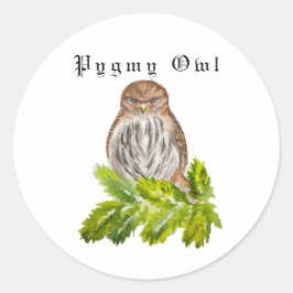Waterverf Saw Whet Cute Little Owls Ronde Sticker
