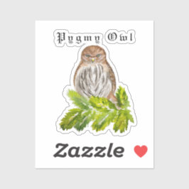 Waterverf Saw Whet Cute Little Owls Sticker