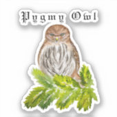 Waterverf Saw Whet Cute Little Owls Sticker (Voorkant)