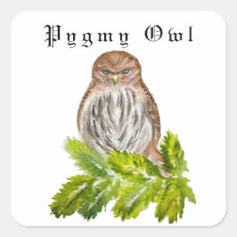 Waterverf Saw Whet Cute Little Owls Vierkante Sticker
