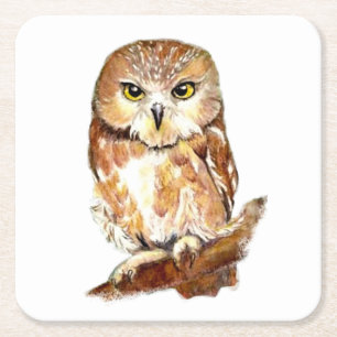 Waterverf Saw Whet Owl Cute Bird Natuur Art Kartonnen Onderzetters