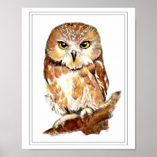 Waterverf Saw Whet Owl Poster (Voorkant)
