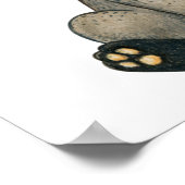 Waterverf Schattig Wasbeer  Poster (Hoek)