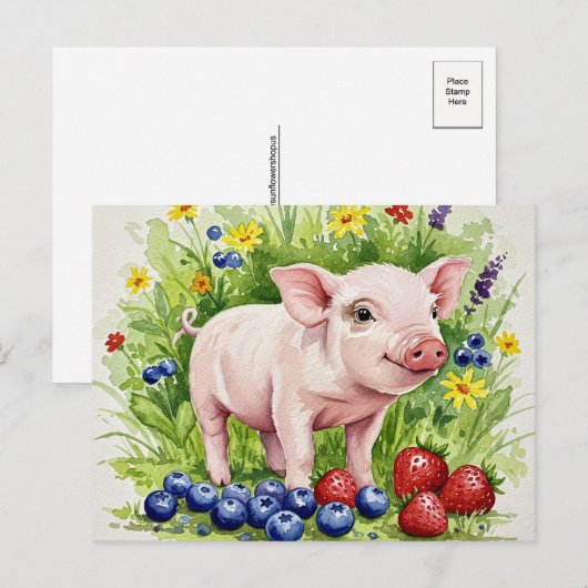 Waterverf Schattige Varken Jonge Dieren Briefkaart (Voorkant / Achterkant)