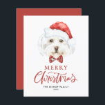 Waterverf Schattigee Maltese Santa Merry Christmas<br><div class="desc">vrolijk kerstfeest! Stuur uw vakantiewensen naar familie en vrienden met deze aanpasbare kerstkaart. Een waterverf Maltezer draagt een kerstmuts. Personaliseer deze hondenkerstkaart door uw gegevens toe te voegen. Deze Maltese hond kerstkaart is beschikbaar op andere karton. Overeenkomende objecten zijn beschikbaar.</div>