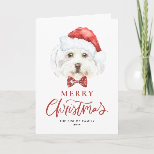 Waterverf Schattigee Maltezer Kerstman Vrolijk Ker Feestdagen Kaart (Voorkant)