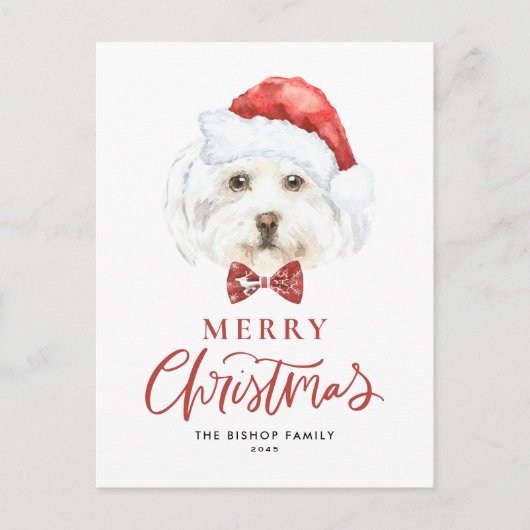 Waterverf Schattigee Maltezer Kerstman Vrolijk Ker Feestdagenkaart (Voorkant)
