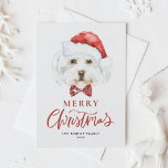Waterverf Schattigee Maltezer Kerstman Vrolijk Ker Feestdagenkaart<br><div class="desc">vrolijk kerstfeest! Stuur uw vakantiewensen naar familie en vrienden met dit aanpasbare kerst briefkaart. Een waterverf Maltezer draagt een kerstmuts. Personaliseer dit hondenkerst briefkaart door uw gegevens toe te voegen. Deze Maltese hond kerstkaart is beschikbaar op andere karton. Overeenkomende objecten zijn beschikbaar.</div>