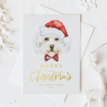 Waterverf Schattigee Maltezer Kerstman Vrolijk Ker Folie Feestdagen Briefkaart<br><div class="desc">vrolijk kerstfeest! Stuur uw vakantiewensen naar familie en vrienden met dit aanpasbare kerst briefkaart. Een waterverf Maltezer draagt een kerstmuts. Personaliseer dit gouden folie kerst briefkaart door het toevoegen van uw gegevens. Deze Maltese hond kerstkaart is beschikbaar op andere karton. Overeenkomende objecten zijn beschikbaar.</div>