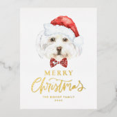 Waterverf Schattigee Maltezer Kerstman Vrolijk Ker Folie Feestdagen Briefkaart (Voorkant)