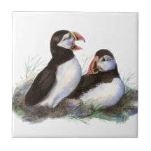 Waterverf Schattigee Puffin Bird Art