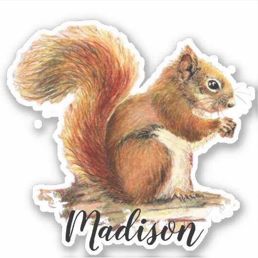 Waterverf Schattigee Rode Eekhoorn Dier Aangepaste Sticker (Voorkant)