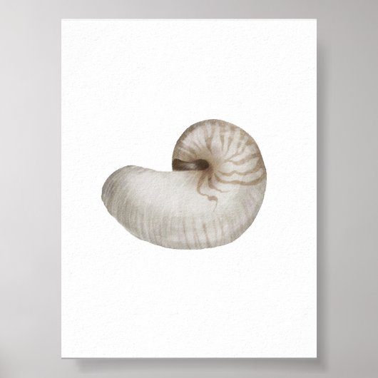 Waterverf schelp poster (Voorkant)