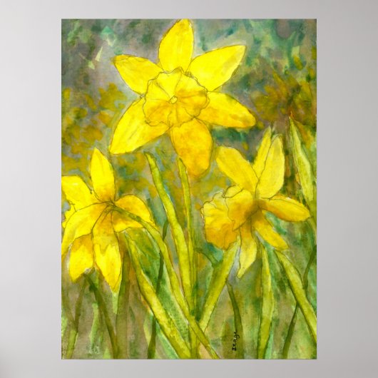 Waterverf schilderen, Gele bloemen Kunst, Daffodil Poster (Voorkant)