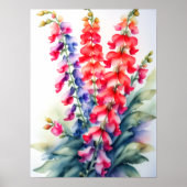 Waterverf Schilderen Snapdragons Poster (Voorkant)