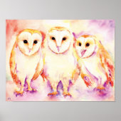 Waterverf schilderen van 3 Barn Owls Poster (Voorkant)