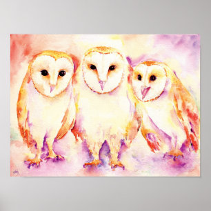 Waterverf schilderen van 3 Barn Owls Poster
