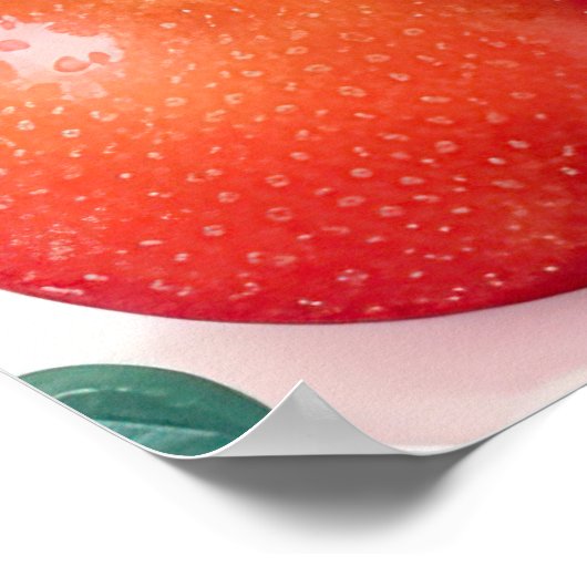 Waterverf Schilderen van Assorted Fruit II Poster (Hoek)