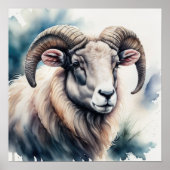 Waterverf Schilderen van Big Horn Sheep Poster (Voorkant)