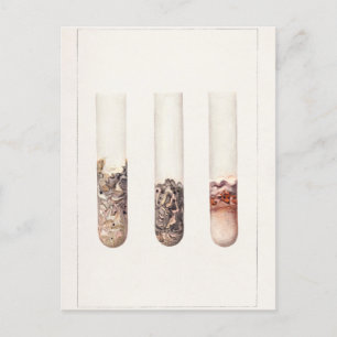 Waterverf schilderen van citrus Aurantifolia Briefkaart