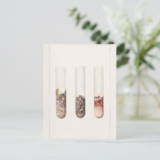 Waterverf schilderen van citrus Aurantifolia Briefkaart (Staand voorkant)