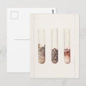 Waterverf schilderen van citrus Aurantifolia Briefkaart (Voorkant / Achterkant)