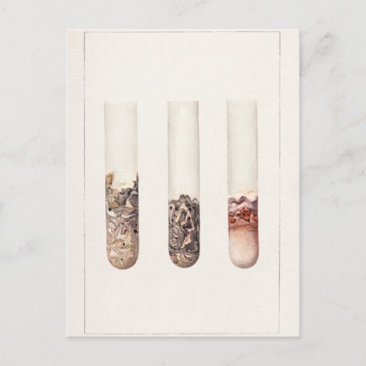 Waterverf schilderen van citrus Aurantifolia Briefkaart (Voorkant)