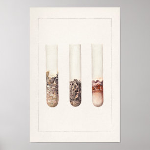 Waterverf schilderen van citrus Aurantifolia Poster