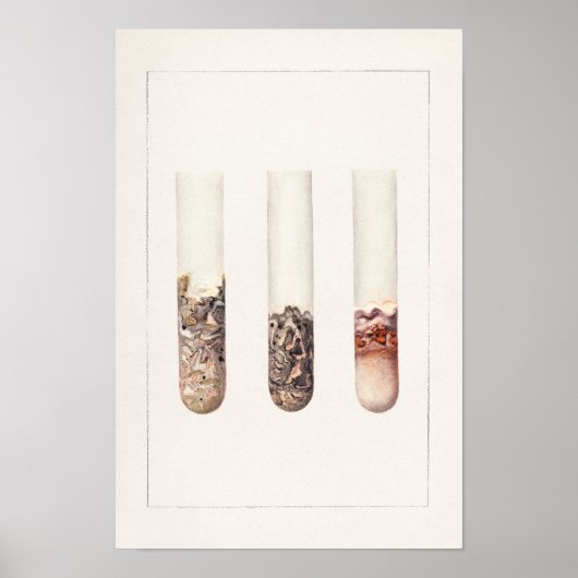 Waterverf schilderen van citrus Aurantifolia Poster (Voorkant)